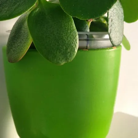 T2 Au Calme Avec Piscine, Tennis, Parking *